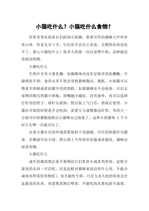 小猫吃什么？小猫吃什么食物？