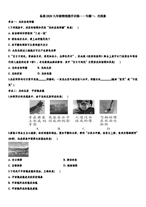 2020九年级物理提升训练——专题一：光现象(带答案解析)