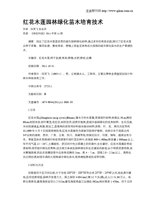 红花木莲园林绿化苗木培育技术