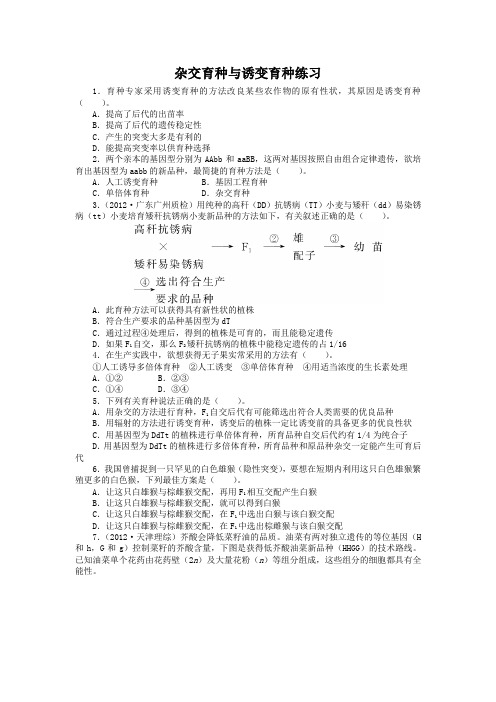 人教课标版高中生物必修2第6章《杂交育种与诱变育种》课后训练1