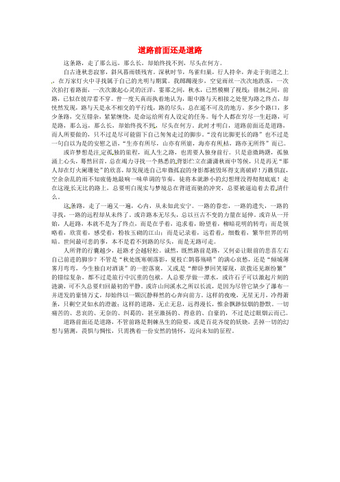 北京市第四中学高一语文学生优秀作文 道路前面还是道路素材