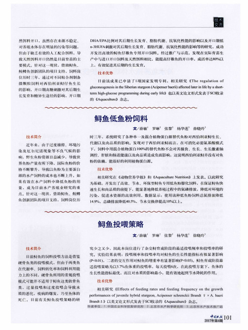 鲟鱼投喂策略