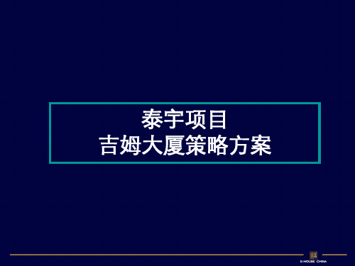 华鼎大厦泰宇的项目吉姆大厦的策略的方案