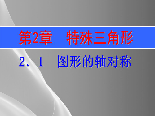 浙教版初中数学八年级上册 2.1 图形的轴对称  课件  品质课件PPT