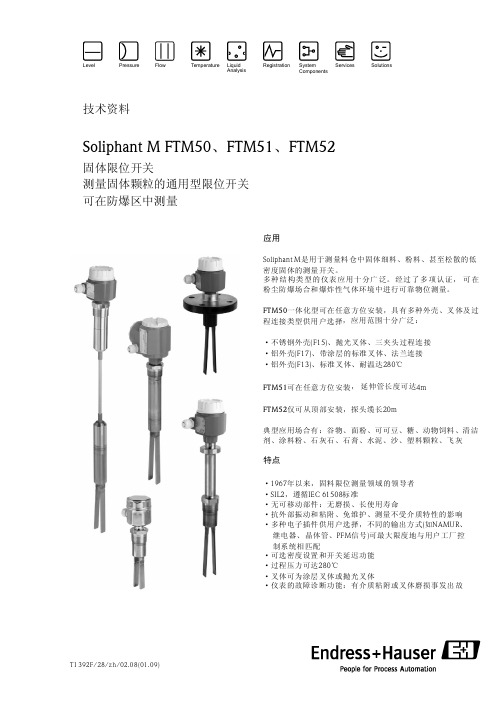 E+H音叉开关