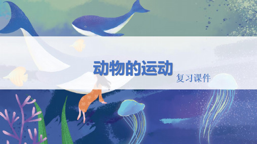 人教版八年级生物上册  《动物的运动》精品复习课件