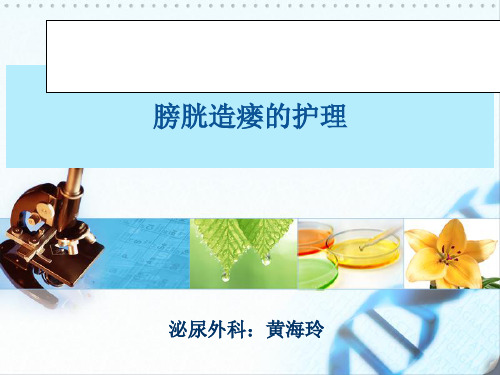 膀胱造瘘的护理PPT课件