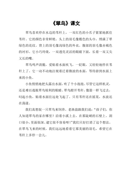 《翠鸟》课文