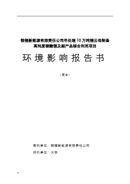 宜春银锂新能源环评报告书