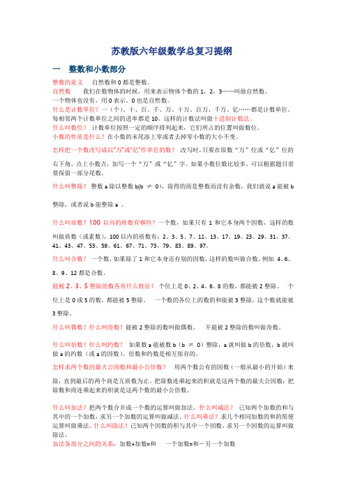 苏教版六年级数学总复习提纲