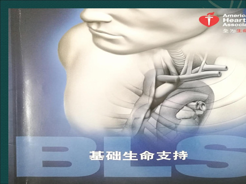 1129基础生命支持培训PPT精品课件