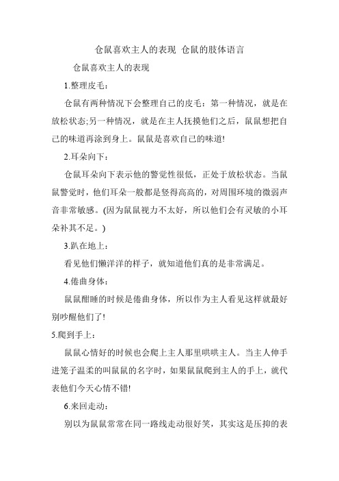 仓鼠喜欢主人的表现 仓鼠的肢体语言