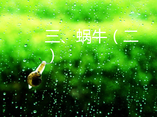 小学科学三年级上册2.3蜗牛(二)