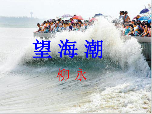 《望海潮》PPT课件
