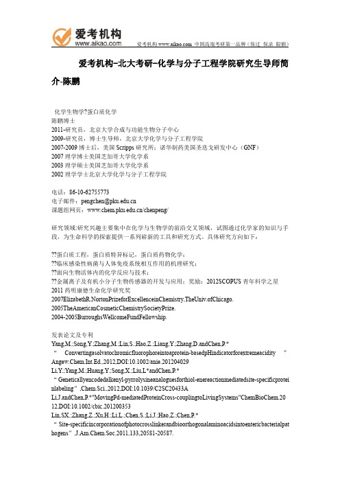北大考研-化学与分子工程学院研究生导师简介-陈鹏