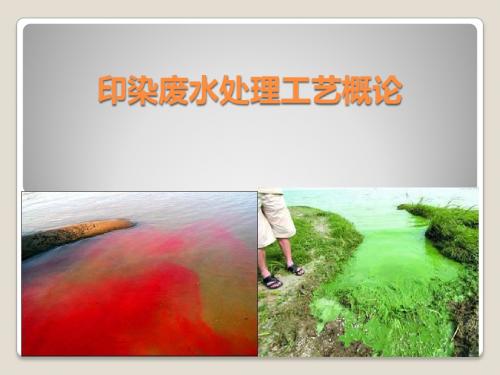 印染废水