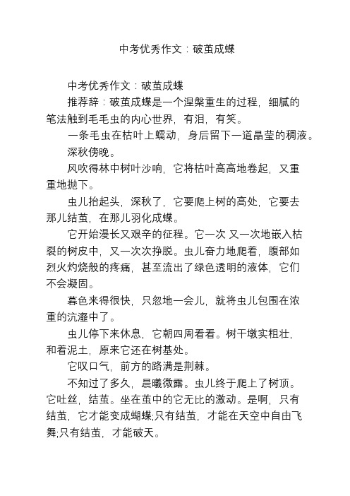 中考优秀作文：破茧成蝶