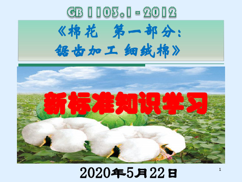2013年度棉花新标准培训