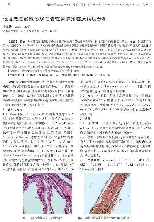 低度恶性潜能多房性囊性肾肿瘤临床病理分析
