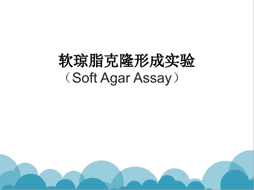 软琼脂克隆形成实验