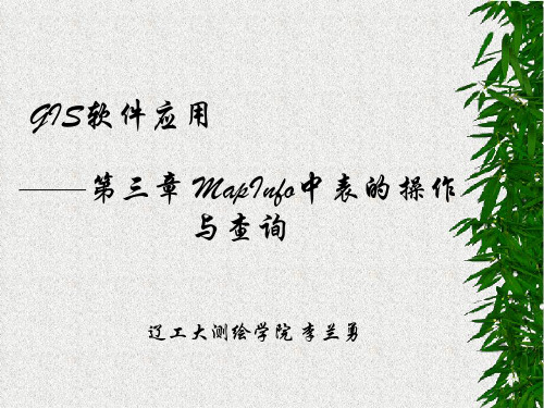 第三章 MapInfo中表的操作与查询