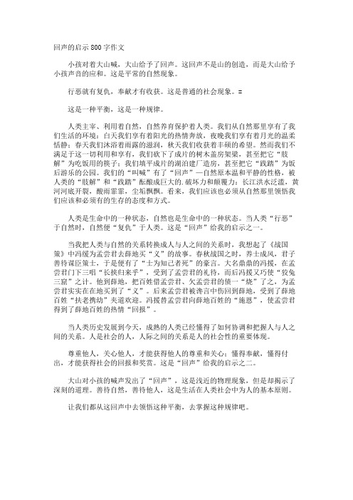 回声的启示800字作文