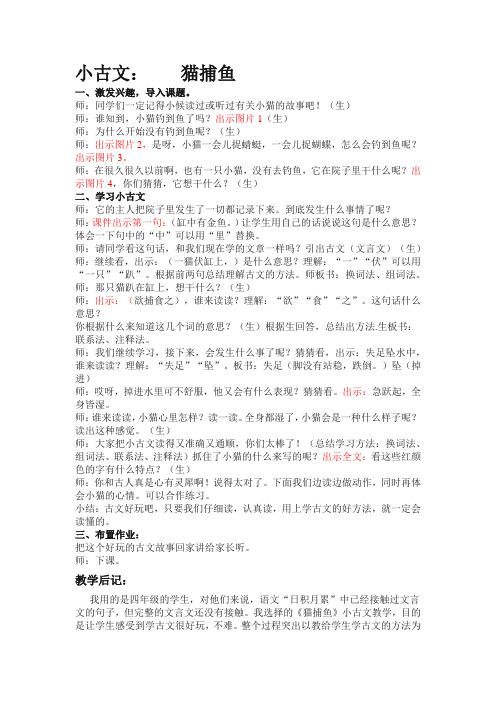 猫小古文教案