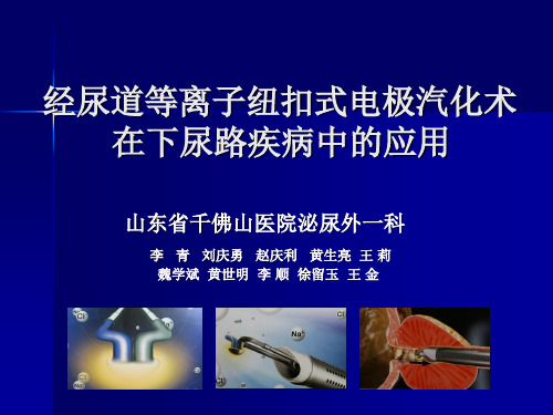 经尿道等离子纽扣式电极汽化术在下尿路疾病中的应用 (1)剖析