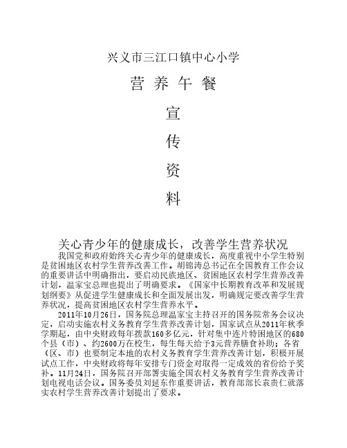 (4)营养午餐宣传资料