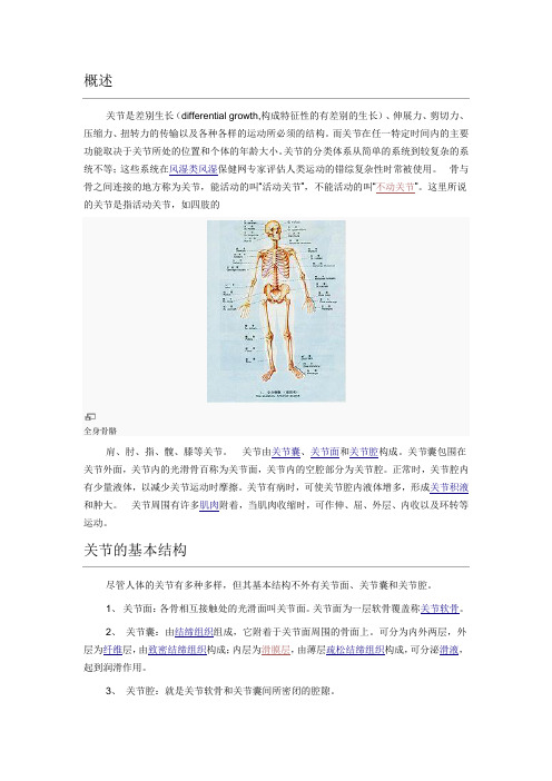 关节概述