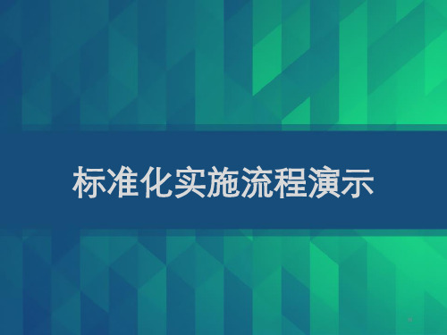 项目标准化实施流程演示 PPT