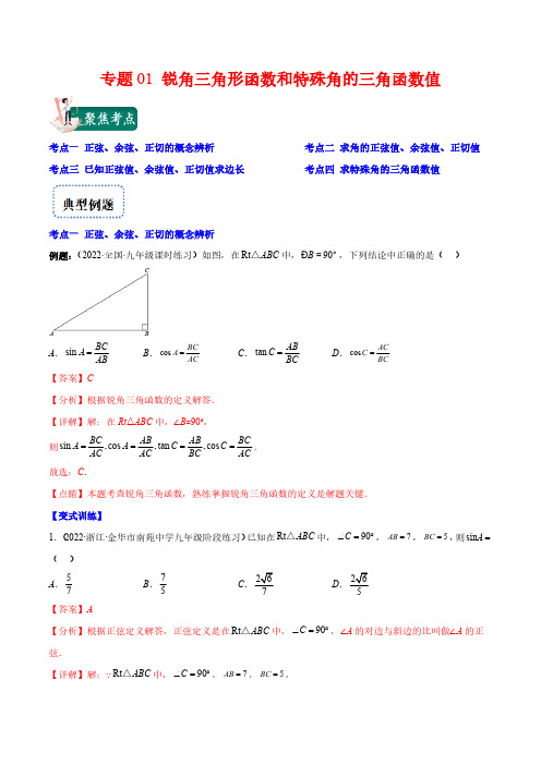 专题01 锐角三角形函数和特殊角的三角函数值(解析版)(重点突围)