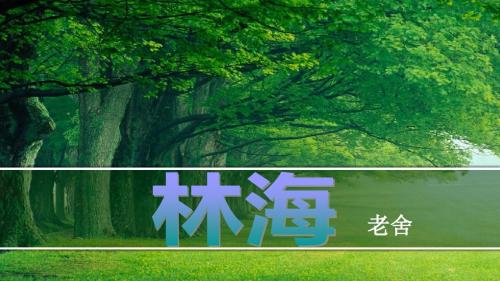 人教版六年级语文上册《读课文  1 林海》优质课课件_9