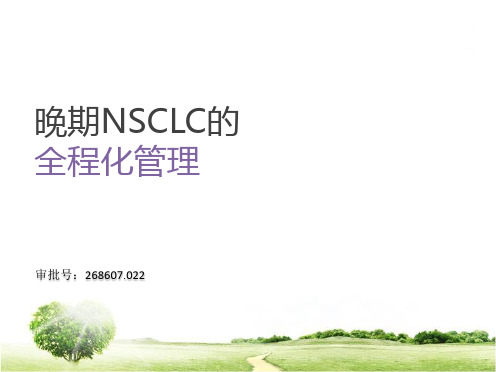 突变阳性NSCLC治疗策略吴红波
