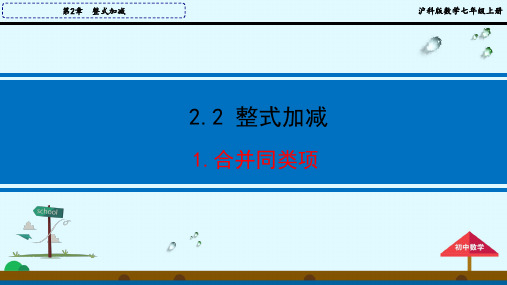 沪科版七年级数学上册2.2.1 合并同类项