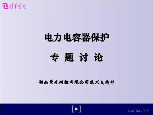 电力电容器专题讨论知识分享