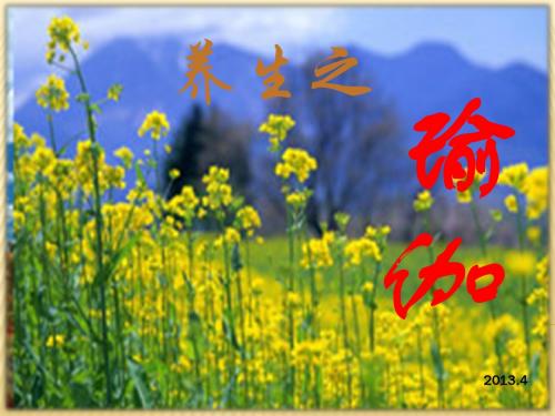 养生之瑜伽