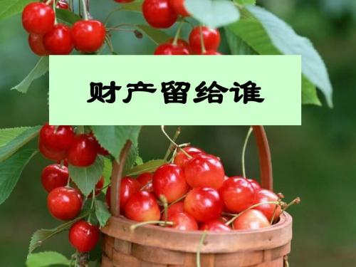 (2019版)八年级政治财产留给谁2