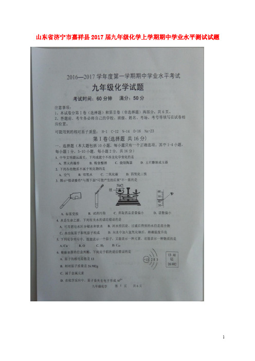 山东省济宁市嘉祥县九年级化学上学期期中学业水平测试
