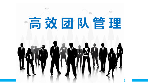 高效团队管理ppt课件