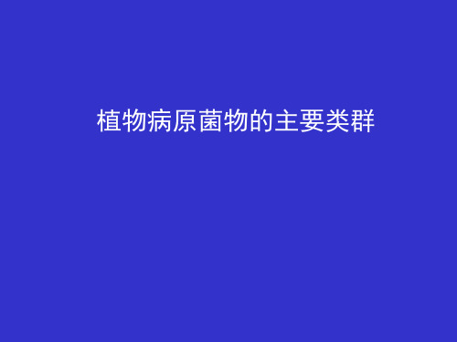 第二章 第一节 植物病原菌物类群2