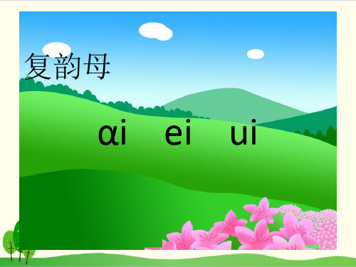部编教材一年级上册语文《ai ei ui》完美PPT