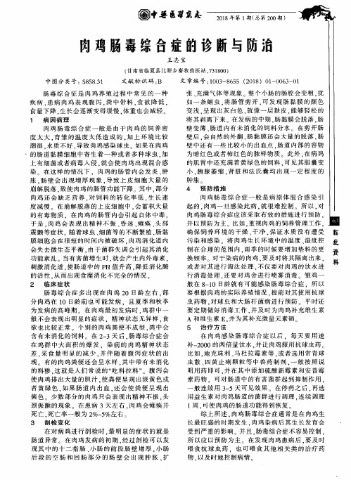 肉鸡肠毒综合症的诊断与防治