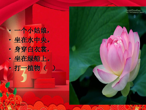 三年级语文下册 习作一《家乡的景物》课件1小学三年级下册语文课件
