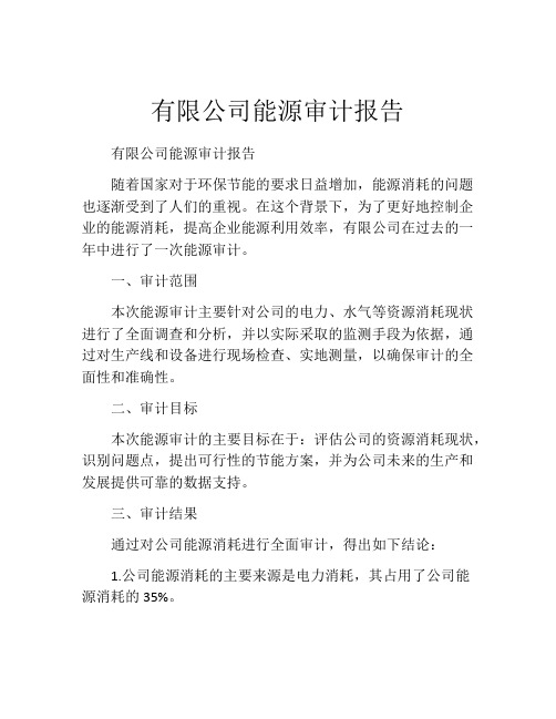 有限公司能源审计报告