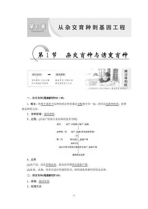 第6章 从杂交育种到基因工程