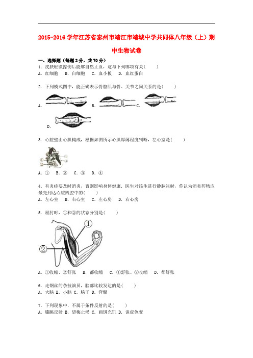 江苏省泰州市靖江市靖城中学共同体八年级生物上学期期中试卷(含解析) 苏科版