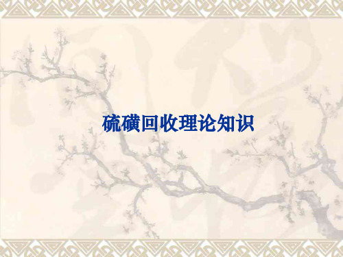 硫磺回收工艺原理PDF