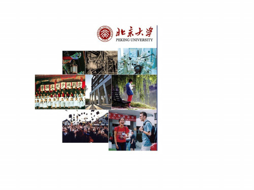 第二章 公务员的条件、义务、权利及行为规范-文档资料