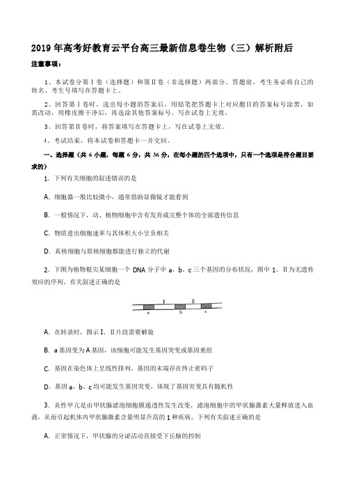 2019年高考好教育云平台高三最新信息卷生物(三)解析附后